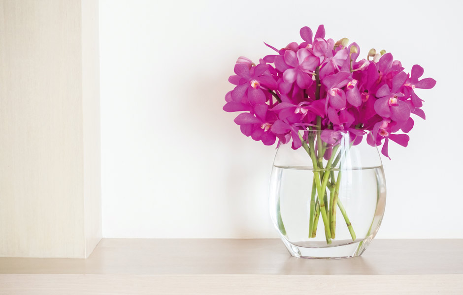 decoracion_pinturascolamina